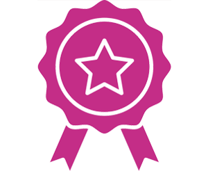 STRIVE FOR EXCELLENCE icon